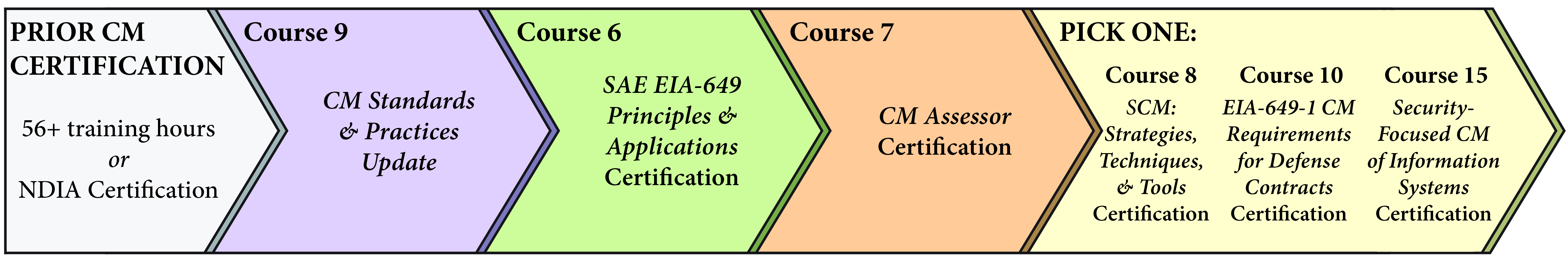 Diagram of requirements for Masters Certification Track II (Track 2).